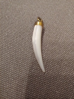 Pendant tooth unused, 4cm length, faux binding