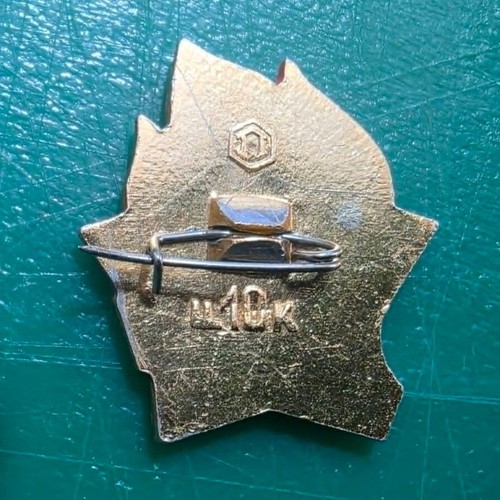 Set of 4 Soviet Youth Collectible Pins