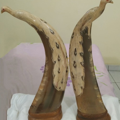 Handmade horn peacock decorations new, set of two pieces