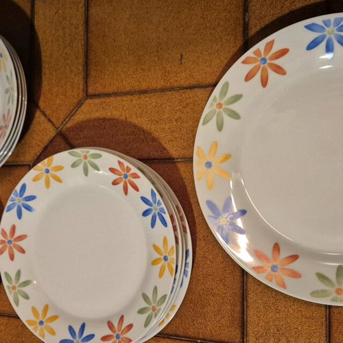 Dish set used with 1 platter, 4 plates, 4 soup plates, 4 dessert plates