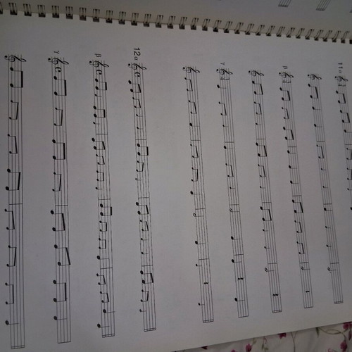 The Theory of Music and Its Applications book like new