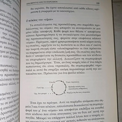 Book The Areas of Our Mistakes used
