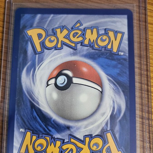 Mega Pyroar EX Chaos Rising 015/086 new card with sleeve and toploader