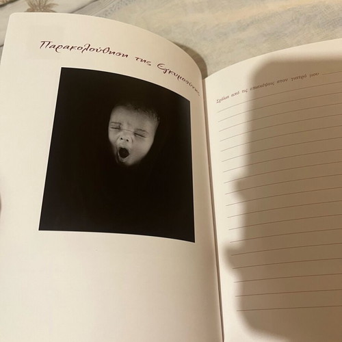 Anne Geddes Pregnancy Diary new