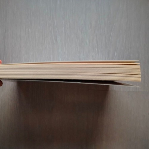 The Empire of Constantinople used history book