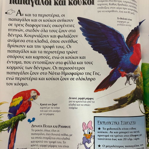 Disney Encyclopedia Birds new condition