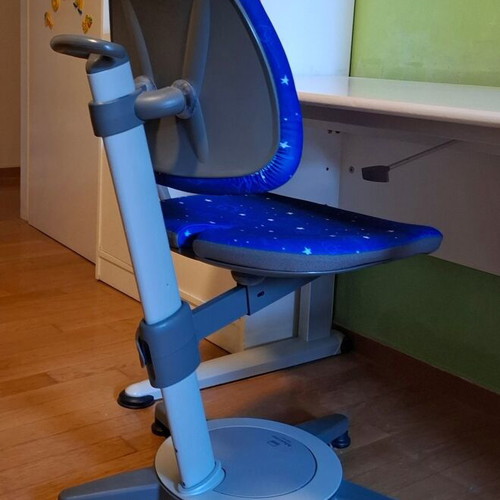 Moll Desk and Ergonomic Chair Set used, Large Bookshelf, Germany