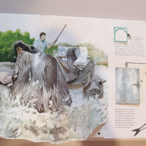 Pop-up book "At the Zoo" used, 10 pages
