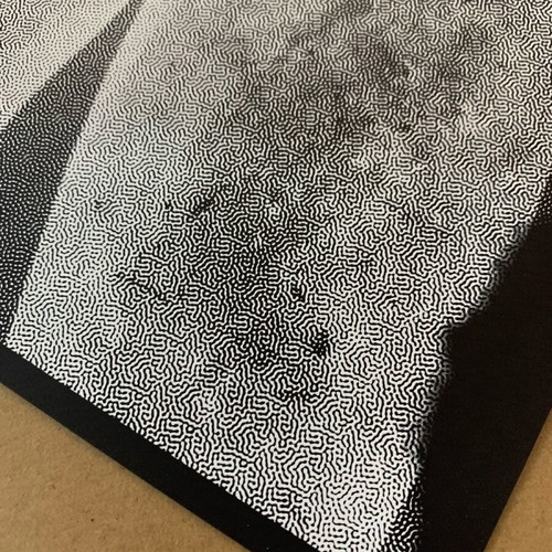 Silkprint screen print Adam new, numbered edition