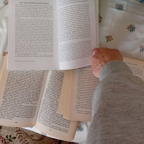 Books used Woody Allen and philosophy, Monty Python and philosophy, Americana, The Great Gatsby