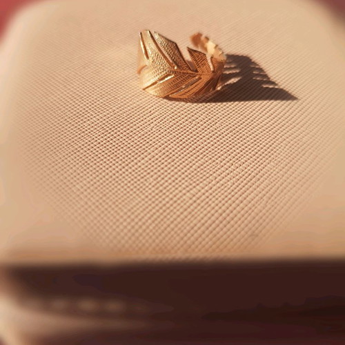 Leaf ring stainless steel new, rose gold color