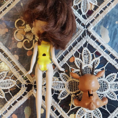 Enchantimals doll with pet used
