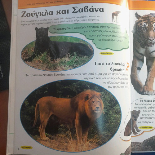 The Why of Animals My First Book new