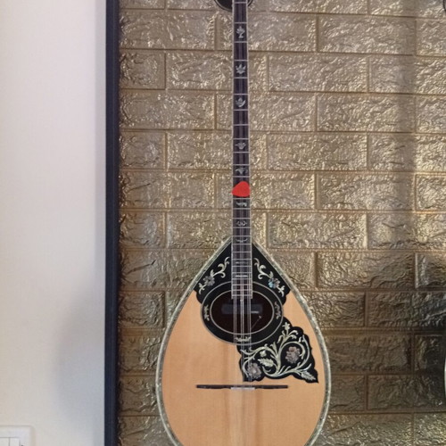 Trichordo Bouzouki like new with pickup