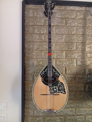 Trichordo Bouzouki like new with pickup