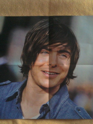 Zac Efron & Jonas Brothers poster like new