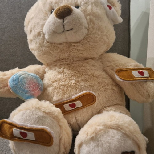 Sick Bear plush like new with accessories and instructions