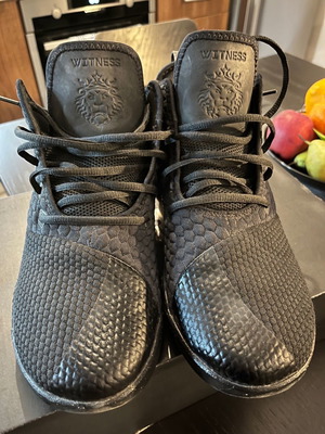 Nike Lebron Witness III μεταχειρισμένα παπούτσια 44