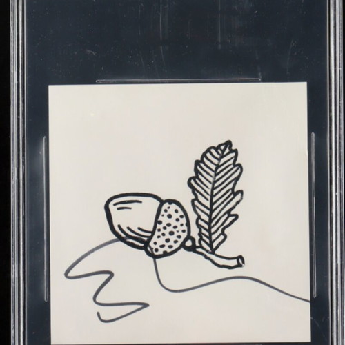Ed Sheeran Beckett Authentic Autograph CD Insert