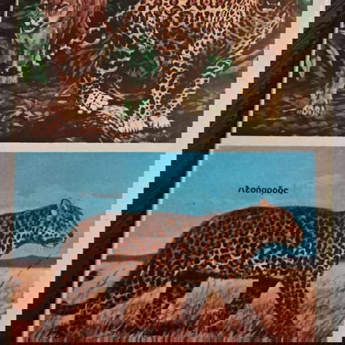 Σινεάκ #21 μεταχειρισμένο