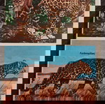 Σινεάκ #21 μεταχειρισμένο