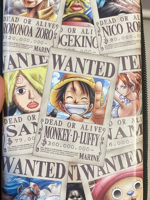 PSP θήκη One Piece μεταχειρισμένη σε πολύ καλή κατάσταση