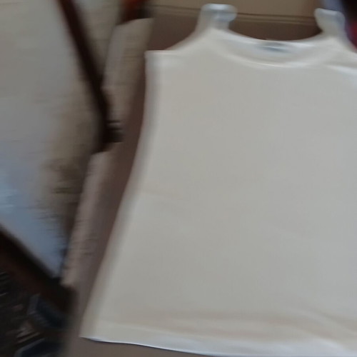 GAP polka dot cotton camisole with built-in bra and Salim Sever cream camisole