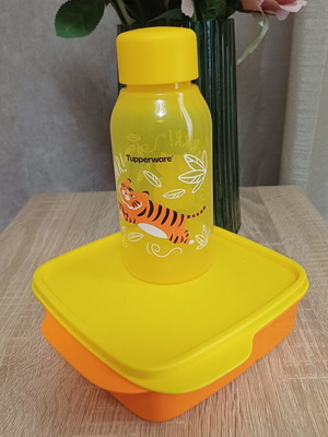 Tupperware set with compartments and 350ml bottle new