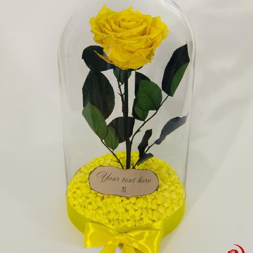 Yellow natural preserved rose in large glass dome made to order