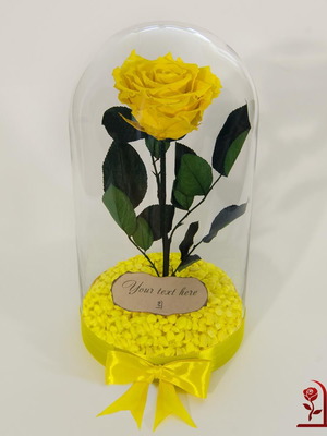 Yellow natural preserved rose in large glass dome made to order
