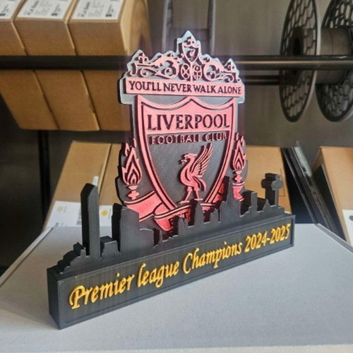 Liverpool FC Champions 2024-2025 decorative item new