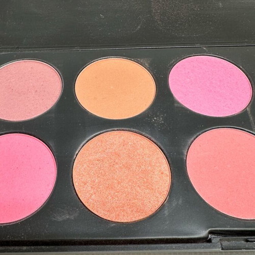 Blush palette with 10 shades like new