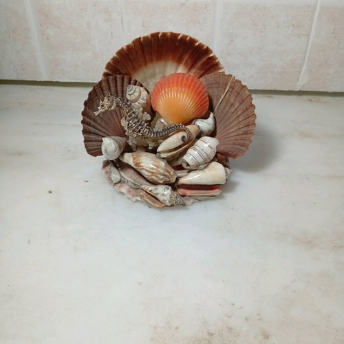 Decorative composition with natural seashells and seahorse like new