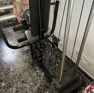 όργανο γυμναστικής
