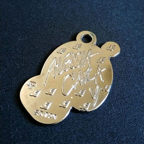 Alessia Cara pendant like new, silver