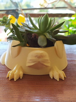 Decorative Pug dog 3D printed planter new