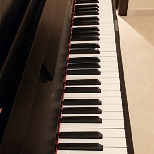 Seiler Upright Piano used, 20 years old, rich sound