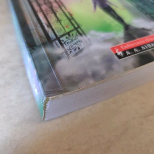 Book The 13 Treasures used, Michelle Harrison, fantasy novel