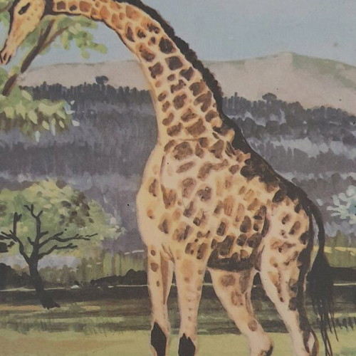 Animal posters used, set of 3, elementary zoology 1960-1975