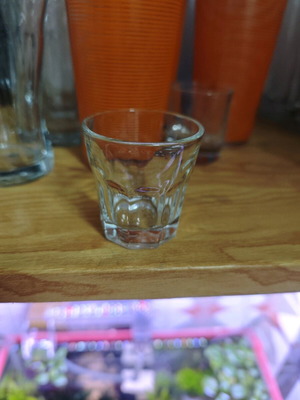 Σετ διαφορετικά γυάλινα ποτήρια σαν καινούργιο, ούζου, νερού, σφηνακι