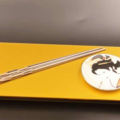 Designer Sushi Serving Tray from Plexiglas 12x28 cm new