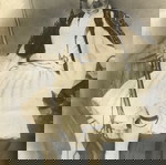  Φωτογραφία   Σουλιώτη σε κάδρο εποχής  με καριοφίλι αρχές 20ου αιώνα Ιωάννινα διαστάσεις 72x82cm