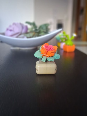 Decorative item new