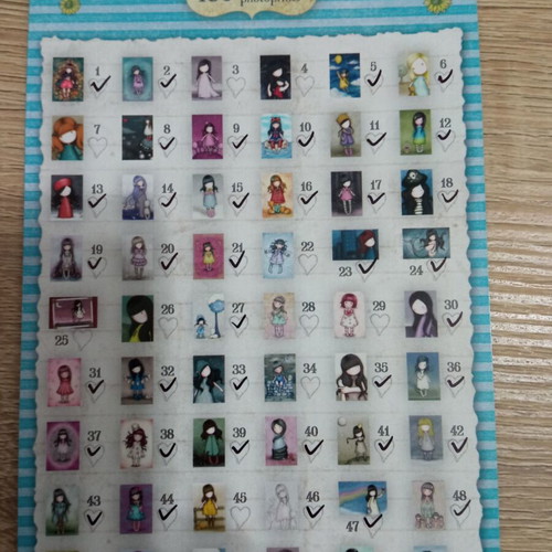 Santoro albums with Panini cards used, 2 pieces