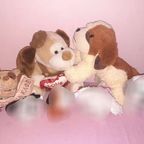 Stuffed dogs used, pack of 3