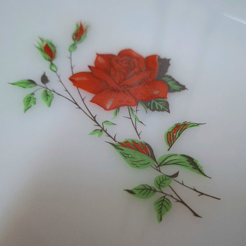Vintage porcelain plates with cups new set with roses