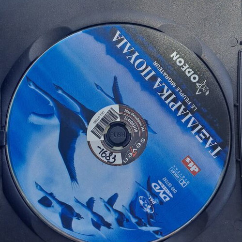 Traveling Birds DVD used, social documentary with subtitles