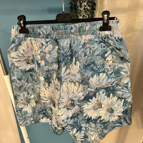 Zara men's shorts, blue, size XL