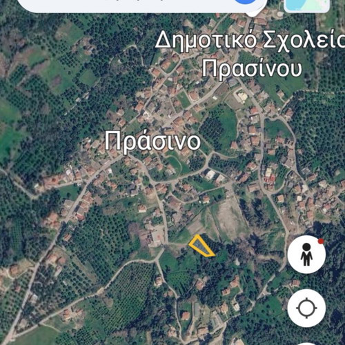 Land plots with productive olive trees near Pyrgos Ilia