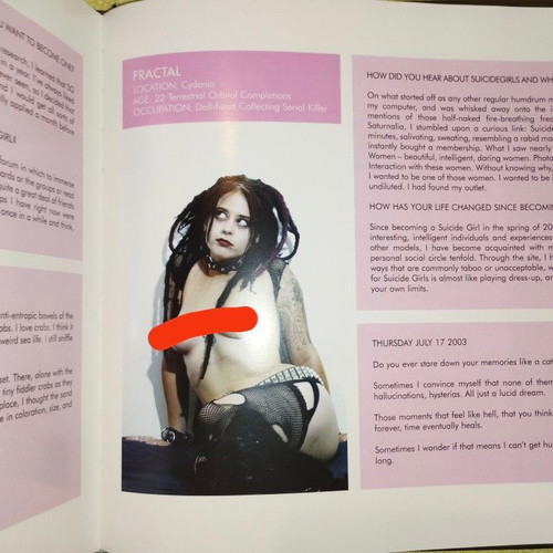SuicideGirls book like new, English, photography and art